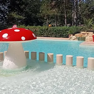 *** Camping Parc Saint Sauvayre France